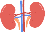 Kidney Health Illustration
