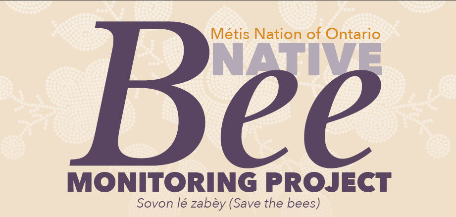 2025 Native Bee Monitoring Project Infographic