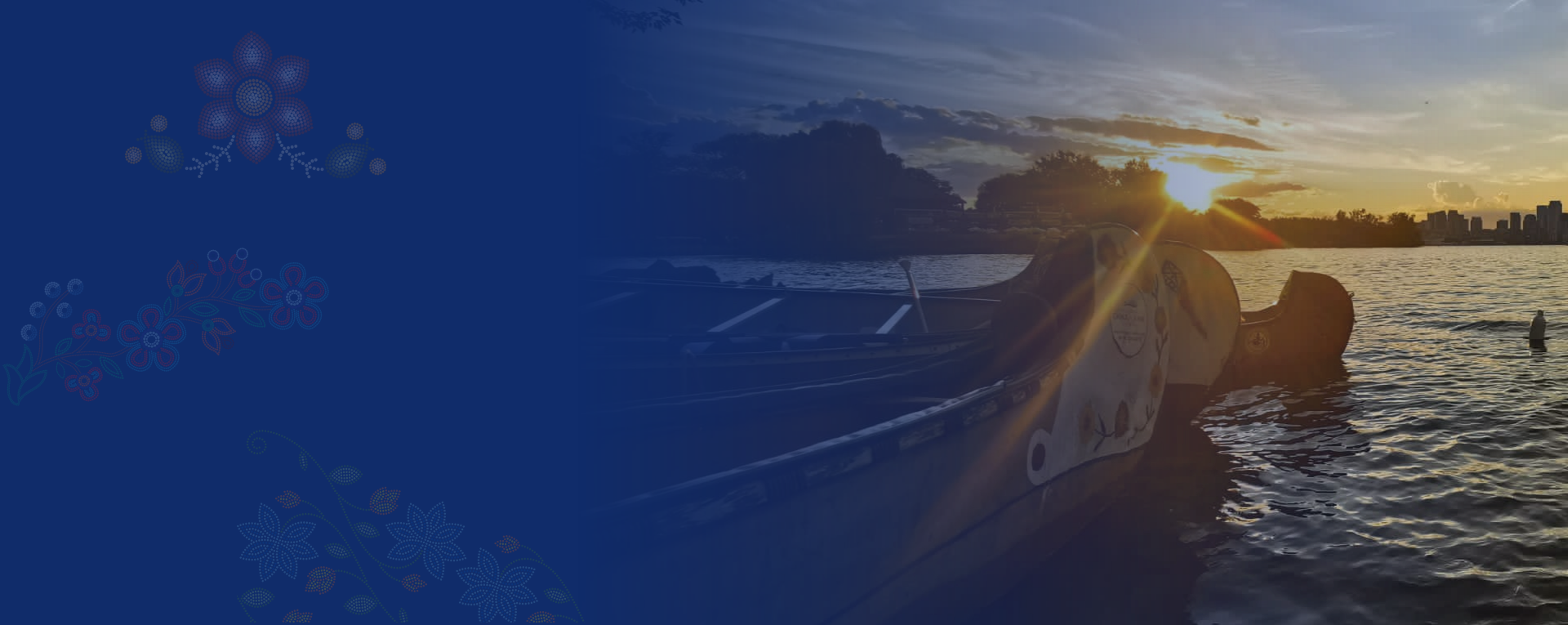 Region 5 Metis Large Image